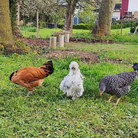 Ferienwohnung Raeuberhoehle Alterkülz Dış mekan fotoğraf